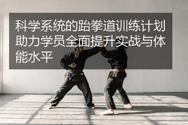 科学系统的跆拳道训练计划助力学员全面提升实战与体能水平